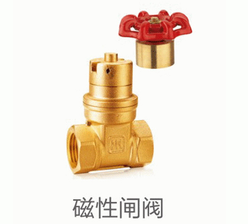磁性闸阀